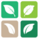 4Leaves